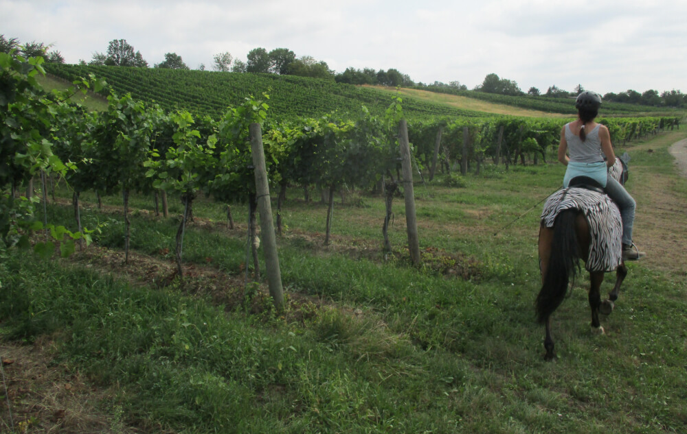 Girl Riding Horse at Painter Bar Stables - Vacation FLX